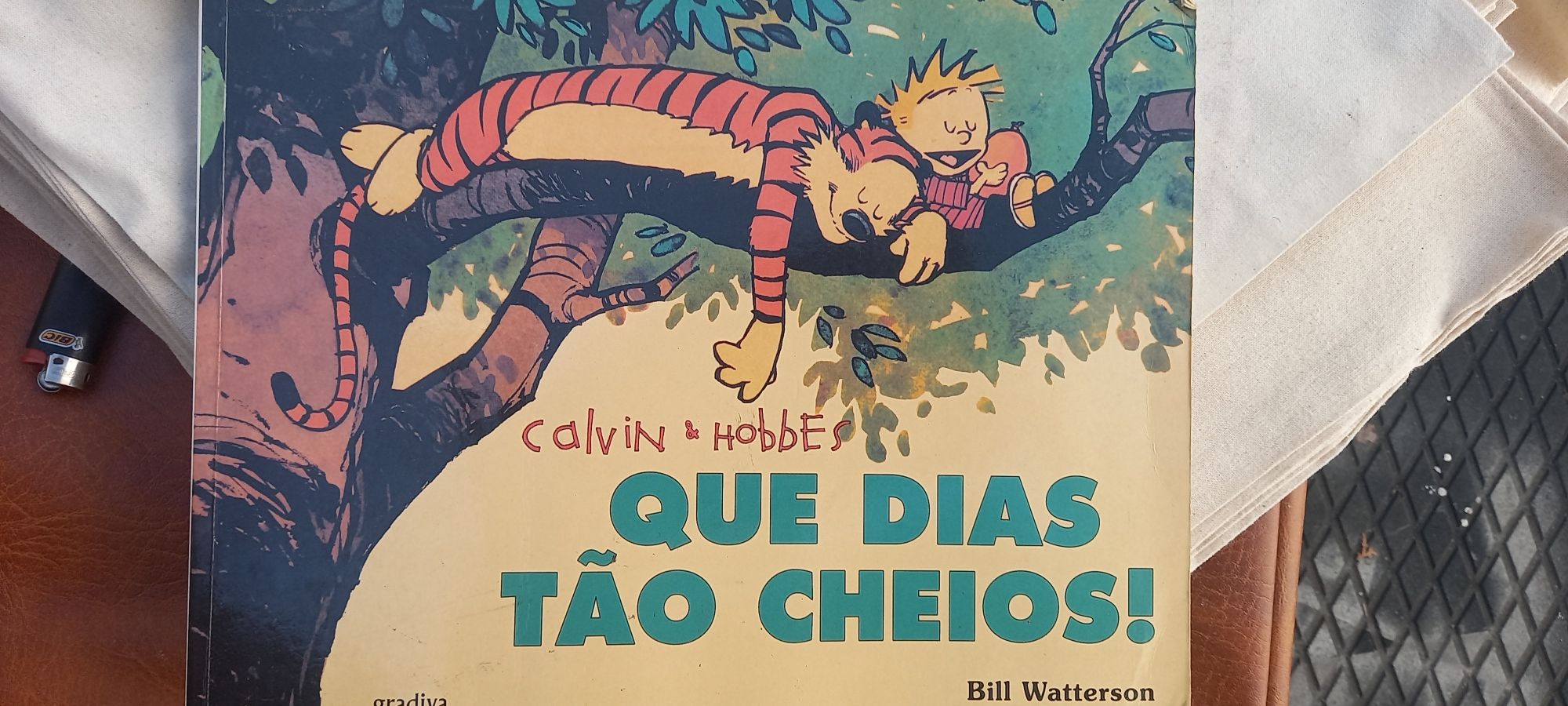 Calvin & hobbes 2 livros