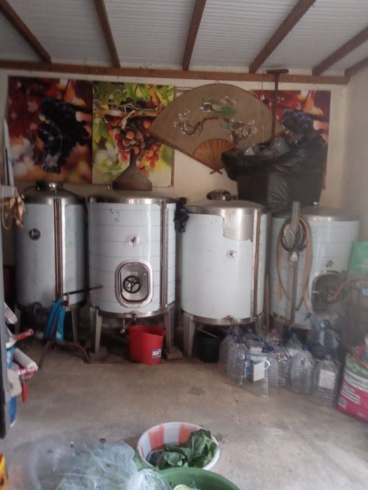 Cubas em inox para guardar vinho