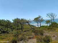 Terreno urbano 490m2 na zona de Falca perto da praia e rodeada de espa