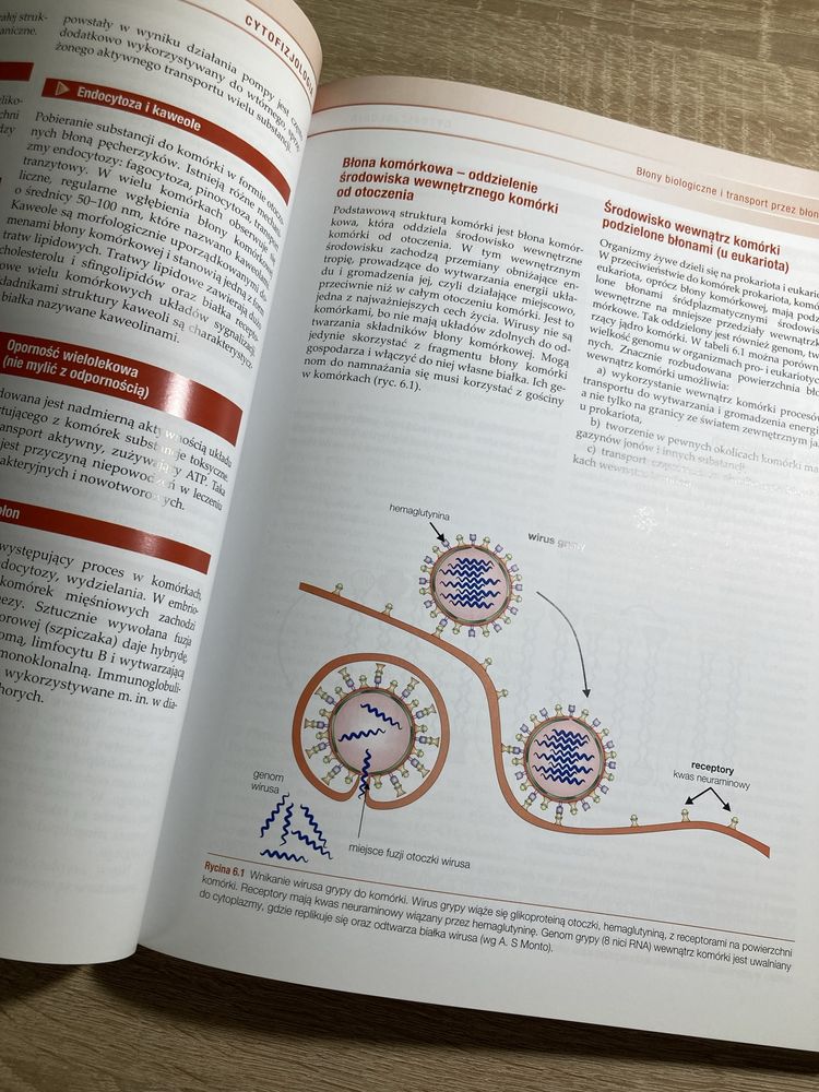 Seminaria z cytofizjologii J. Kawiak