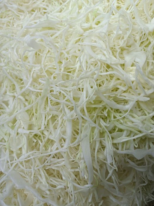 Kapusta biała szatkowana