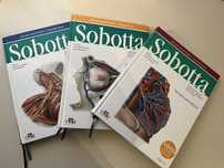 Atlasy Sobotta mianownictwo łacińskie + plakat