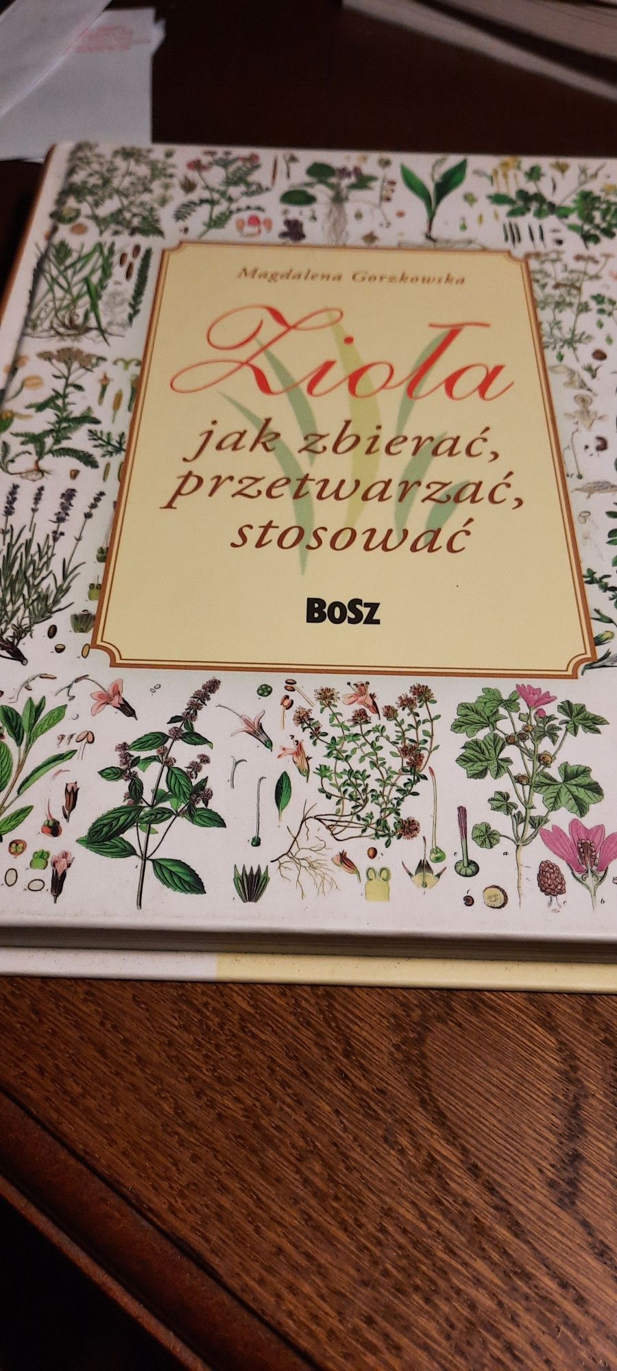 Zioła jak zbierać przetwarzać stosować