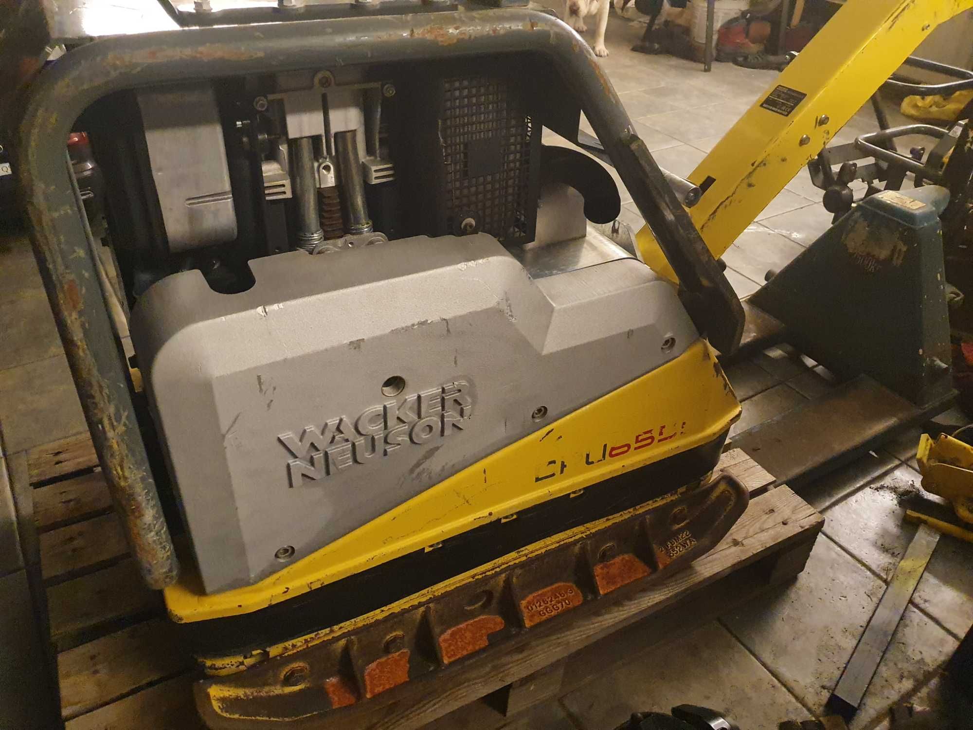 Zagęszczarka Wacker Neuson Dpu 6555 10/2024 z czujnikiem zagęszczenia