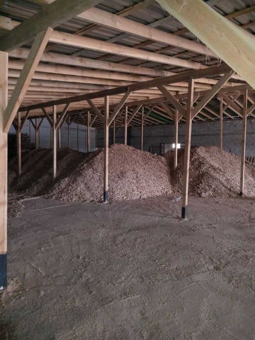 Продам щепу з сосни