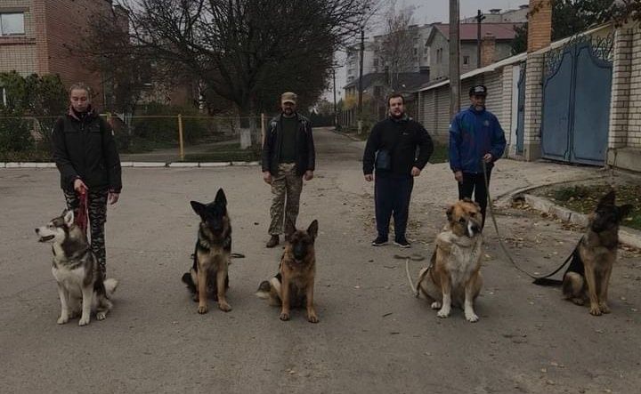Кінолог. Дресирування з пансіоном(з проживанням у кінолога)