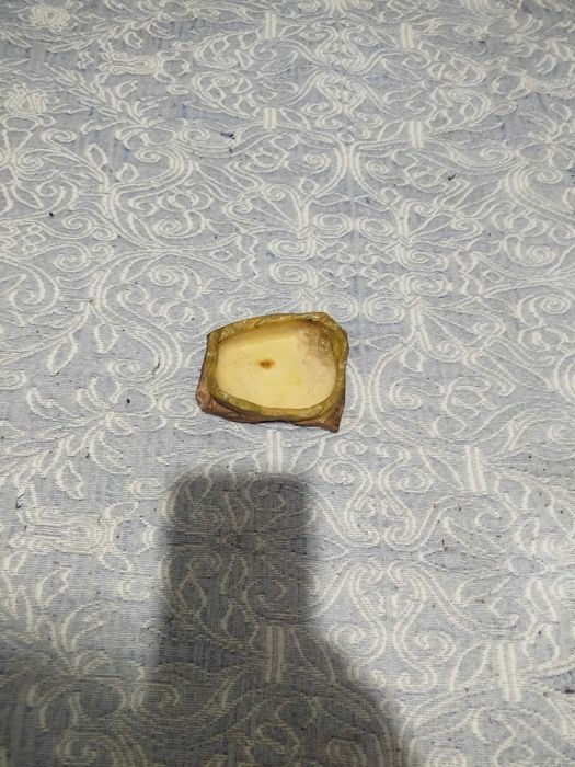 Bebedouro Exoterra L