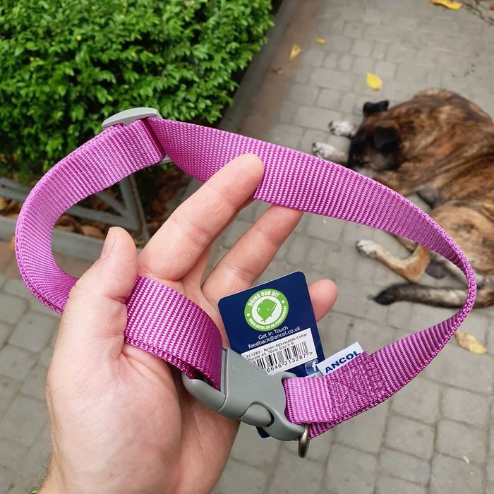 Ошийник для собак VIVA ADJUSTABLE COLLAR PURPLE (L/45-70см)