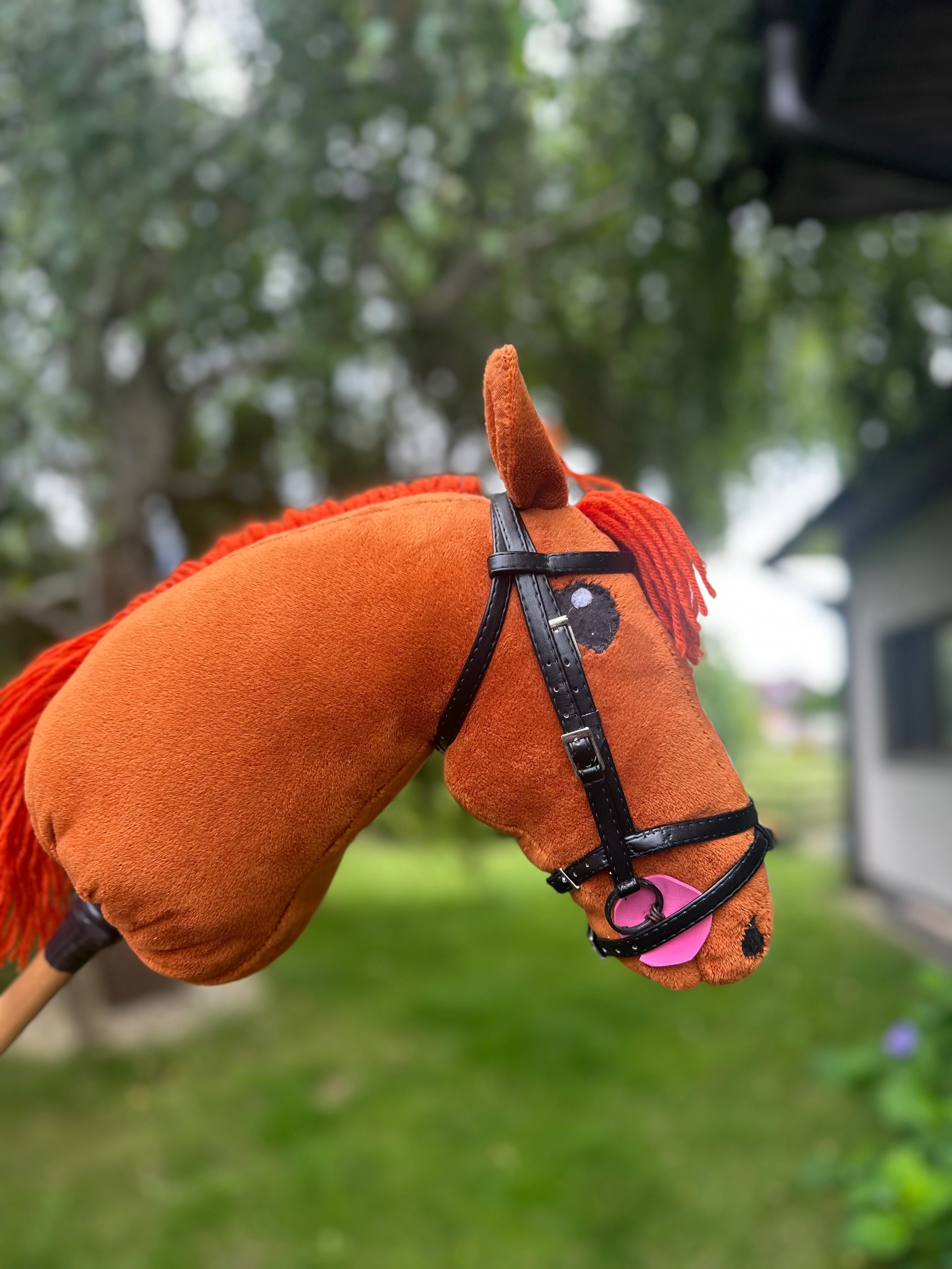 Hobby horse rudy