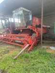 Sprzedam bizona z056