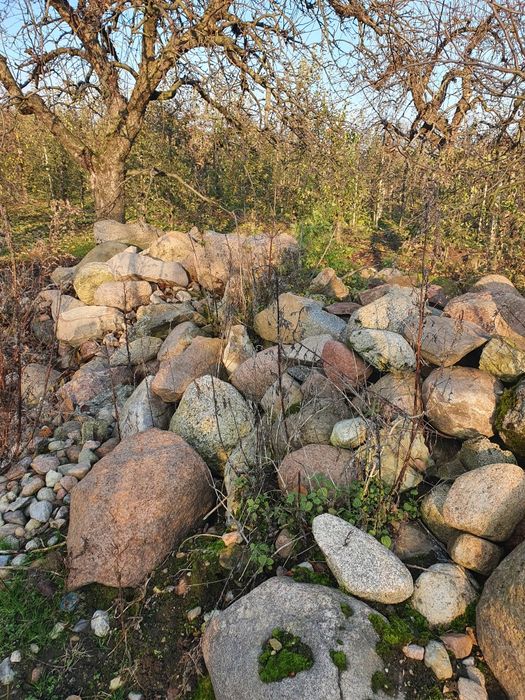 Kamień polny duże ilości