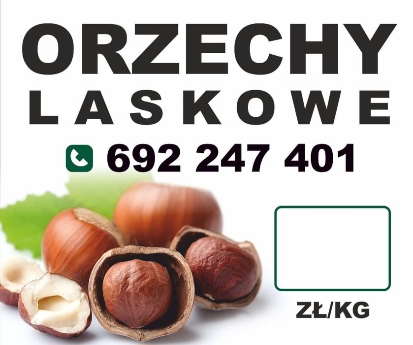 Orzechy laskowe pełne.