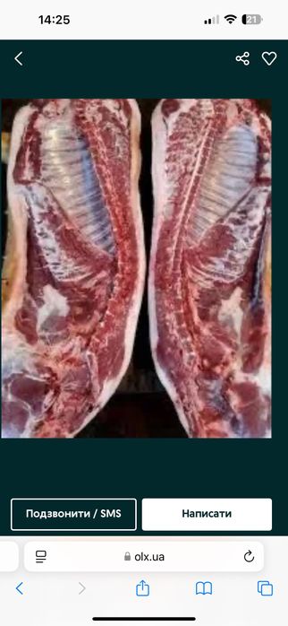 Молода свинина у продажі