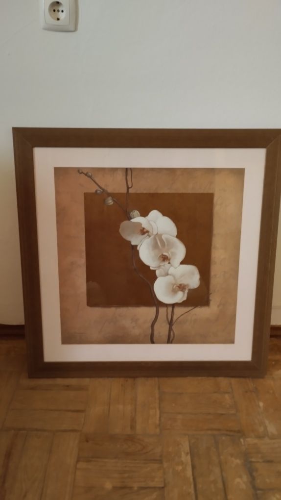 Quadro Flores I I