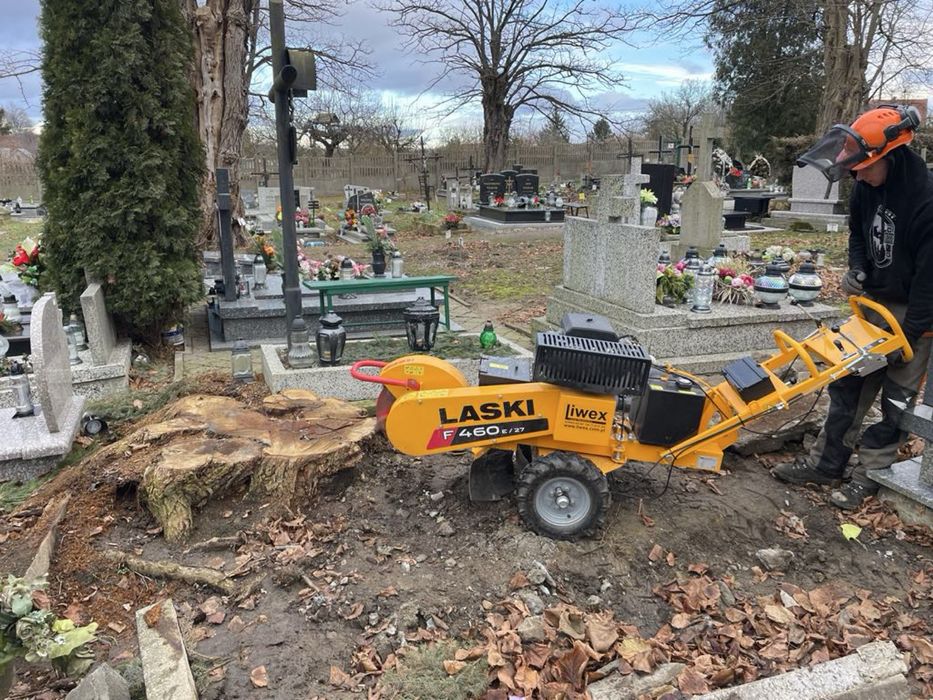 frezowanie, karczowanie usuwanie pni, pniaków, karpin