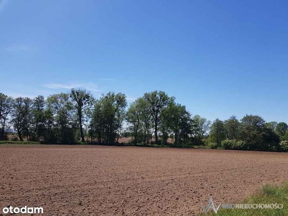 Działka | atrakcyjna | spokojna okolica | las |