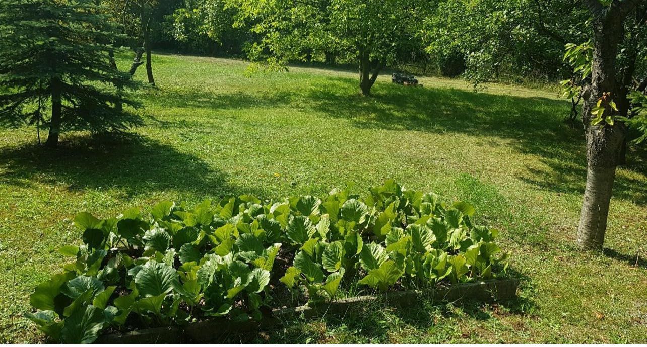 działka o powierzchni 1300 m² w miejscowości Hutki-Kanki,