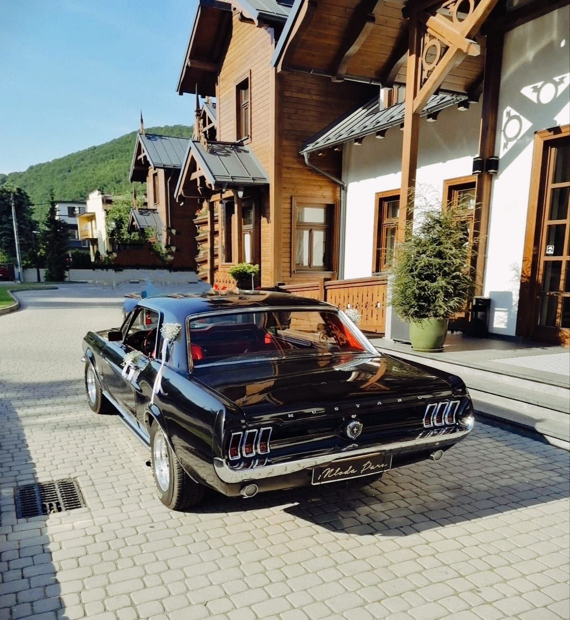 Mustang auto / Samochód do ślubu zabytek