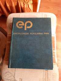 Encyklopedia popularna PWN.