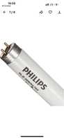 Люмінесцентна лампа 120см Philips TL-D 36W/54-765 G13 T8 STANDARD 50шт