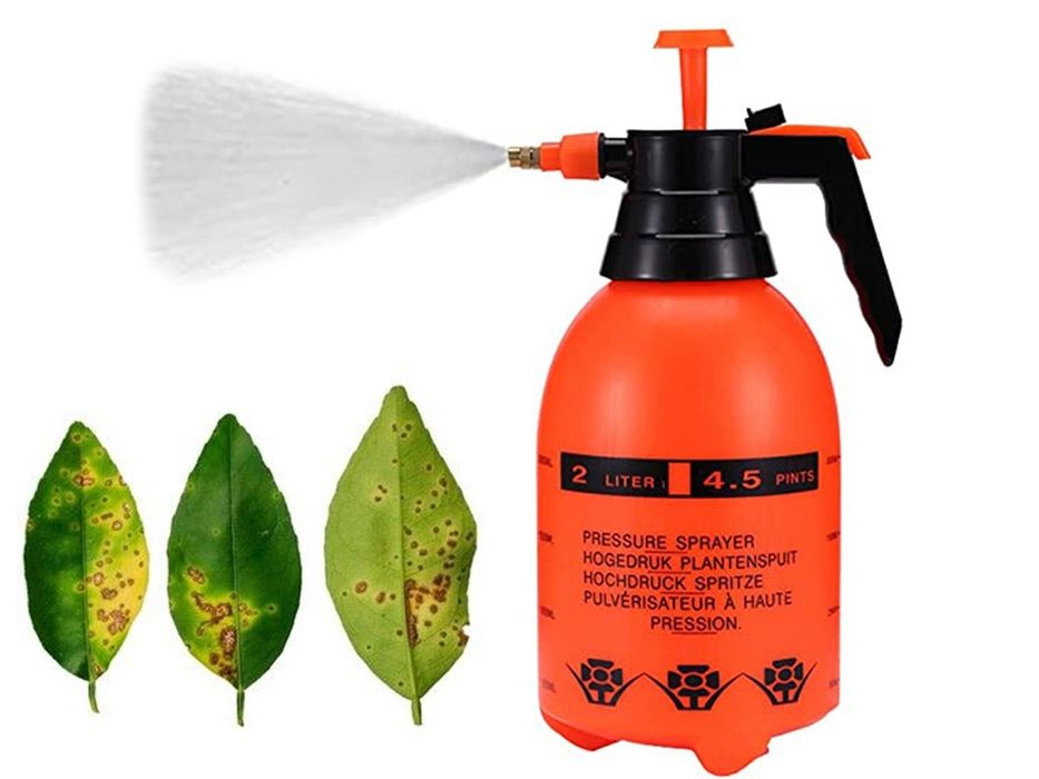 Opryskiwacz ciśnieniowy spryskiwacz ręczny 2l
