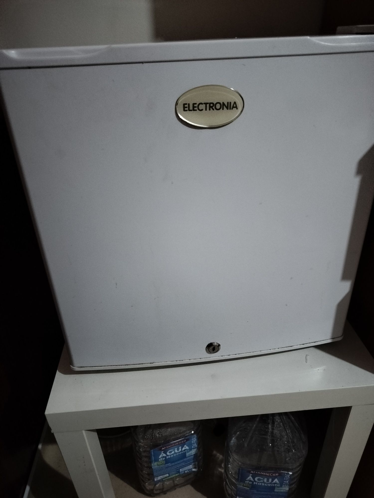 Minifigorifico/minibar