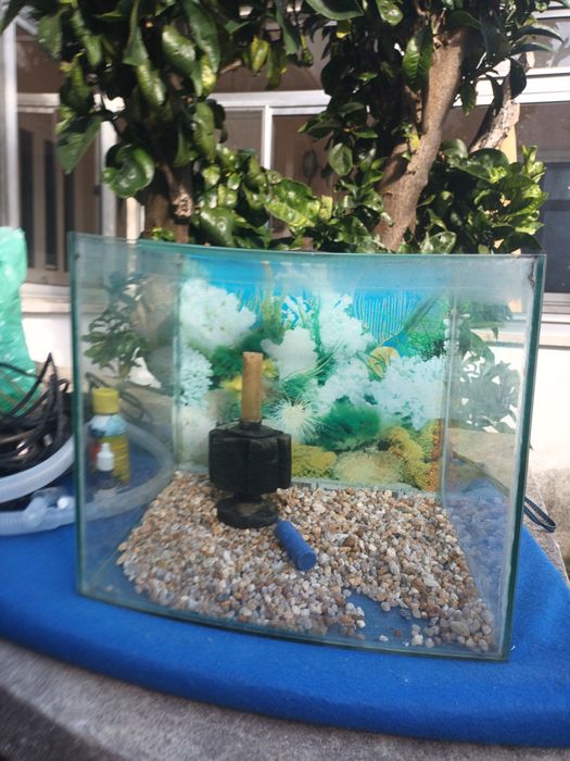 Aquário pequeno em bom estado