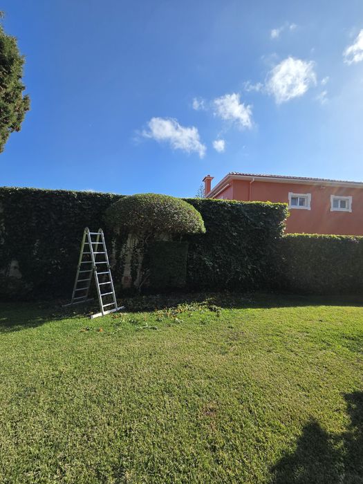 Manutenção de  jardins