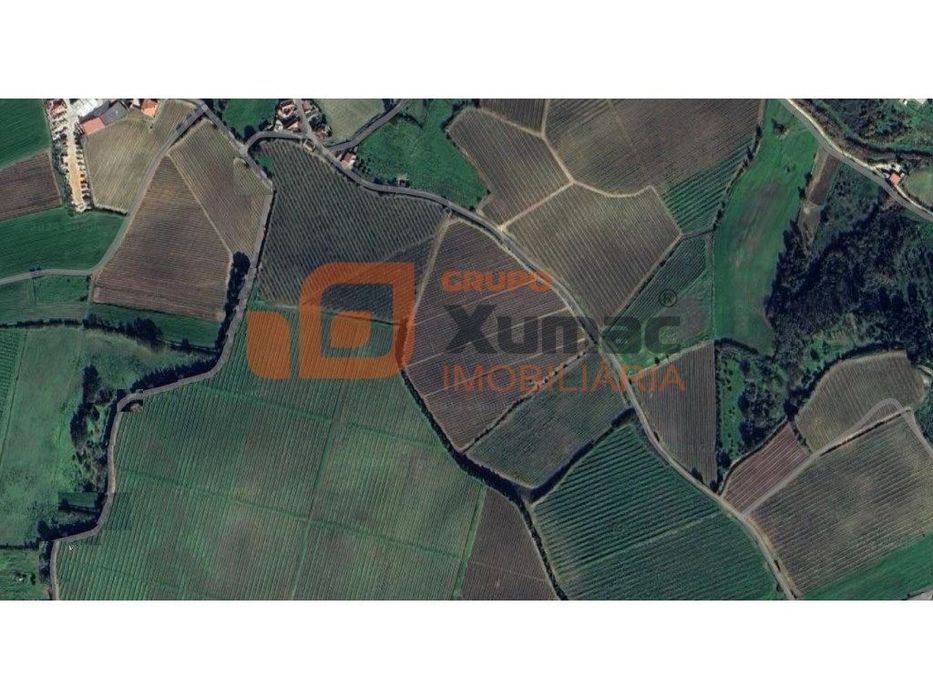 Terreno agrícola- pomar de macieiras com furo de água, bomba e quas...