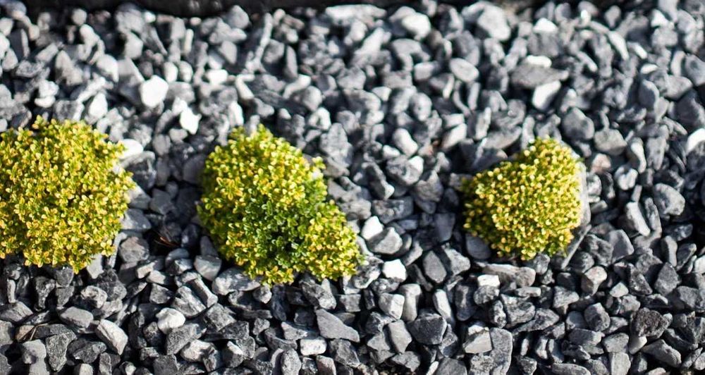 Kamień grys Serpentynit, kamień ozdobny do ogrodu GLIWICE