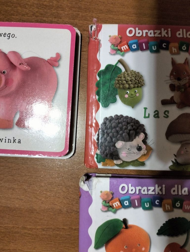 Zestaw 7 książeczek Obrazki dla maluchów plus 2 Pucio