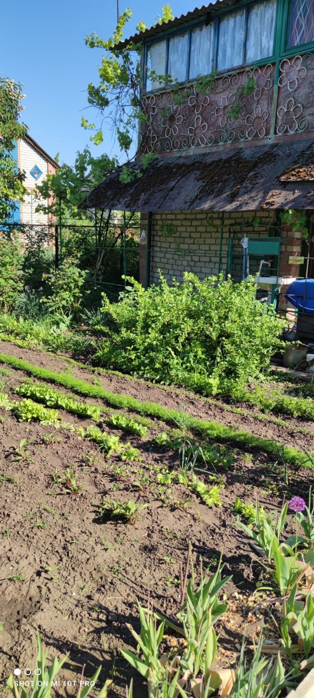 Дача Карачуни КДЗ маршрутка312 Сад/ТОВ ,, Граніт ,,