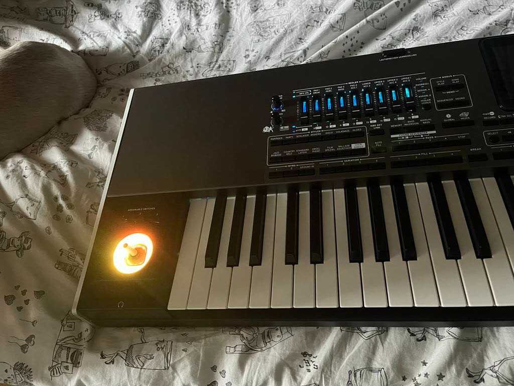 Korg Pa4x musikant z repertuarem + twardy case na kółkach