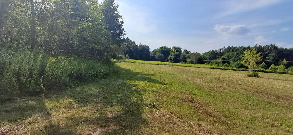 Sprzedam działkę w miejscowości Borów gm. Annopol