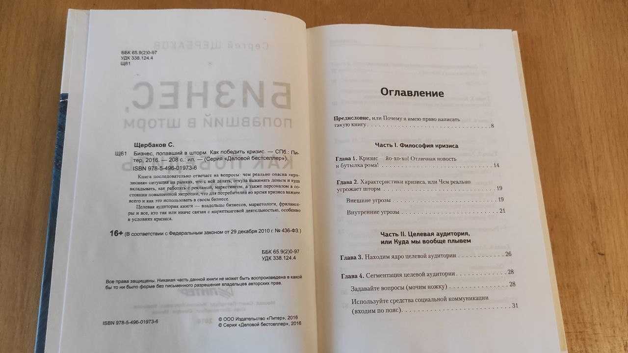 Бизнес, попавший в шторм. Как победить кризис - Сергей Щербаков