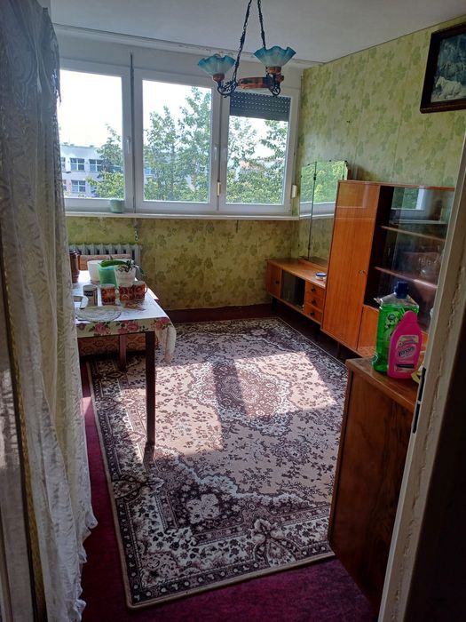 Mieszkanie M4 legnica wynajem
