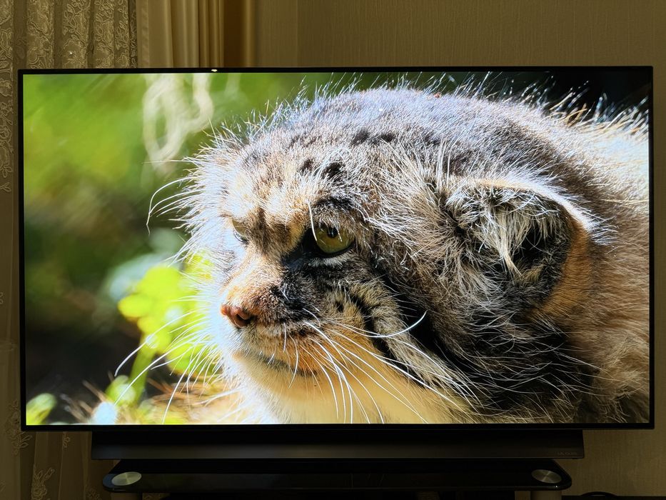 Телевізор LG OLED OLED55CX3LA 55" 4K 120Hz