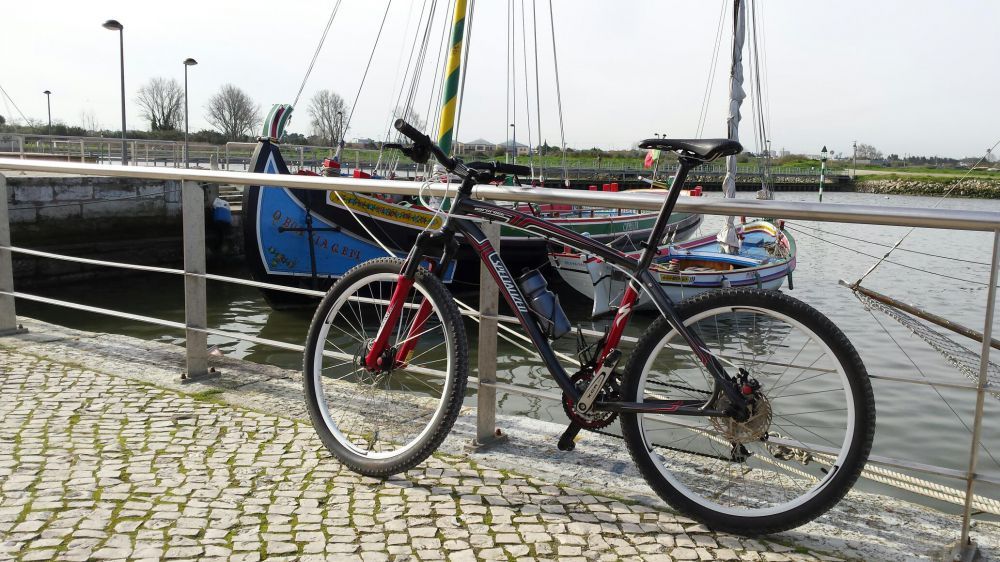 Bicicleta Specialized BTT XL