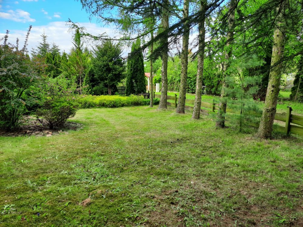 Działka rekreacyjna / Ogródek działkowy 480 m2