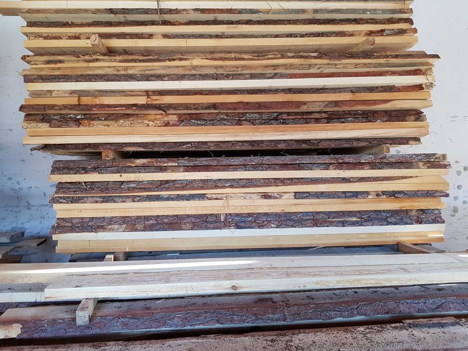 Tarcica Dębowa Dąb 50