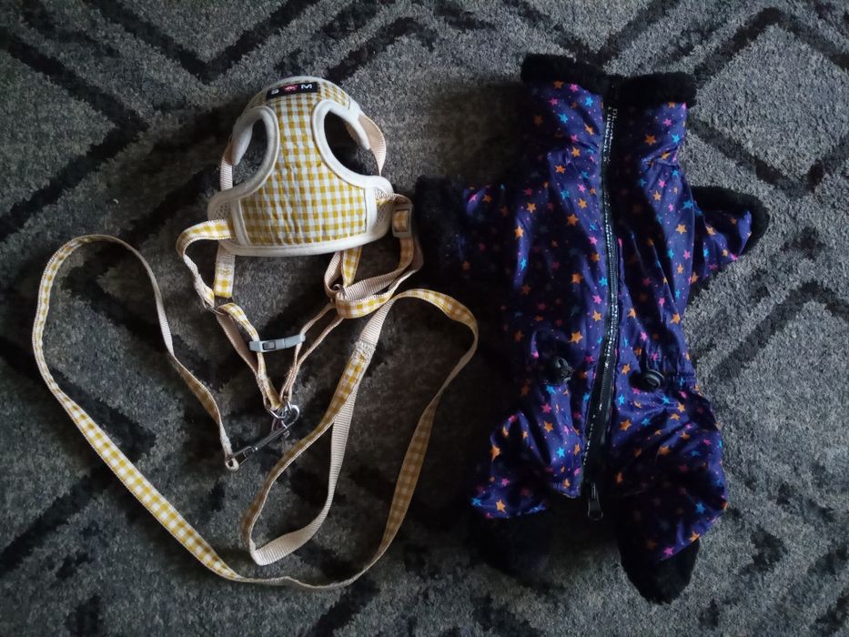 Комбинезон теплый, шлейка с поводком для собаки