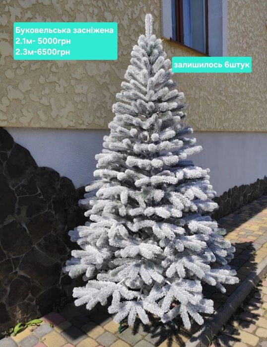 Штучні ялинки.  Ялинка.  Засніжена Ялинка.  Ялинка з білими кінчиками