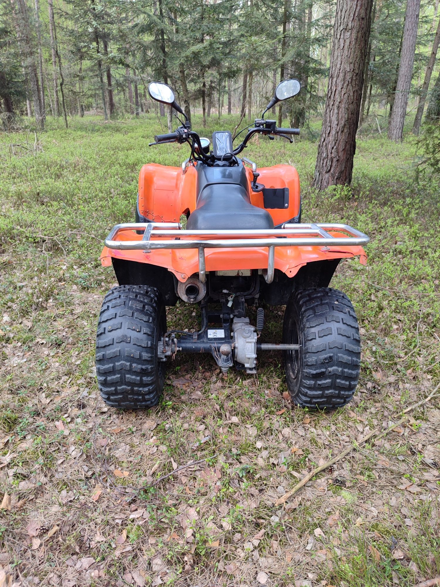 Kawasaki Brute Force 300  quad