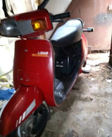 Honda Lead 50 Af01