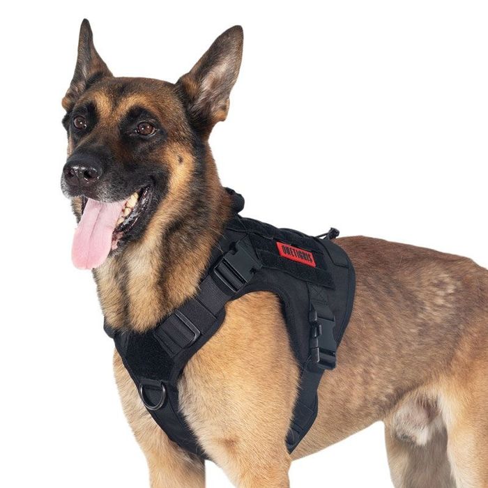 Arnês Cão K9 OneTigris L