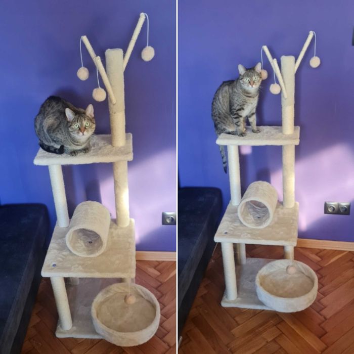 Drapak TOMI dla kota wysoki, 5 poziomów, domek, piłeczki, 130 cm