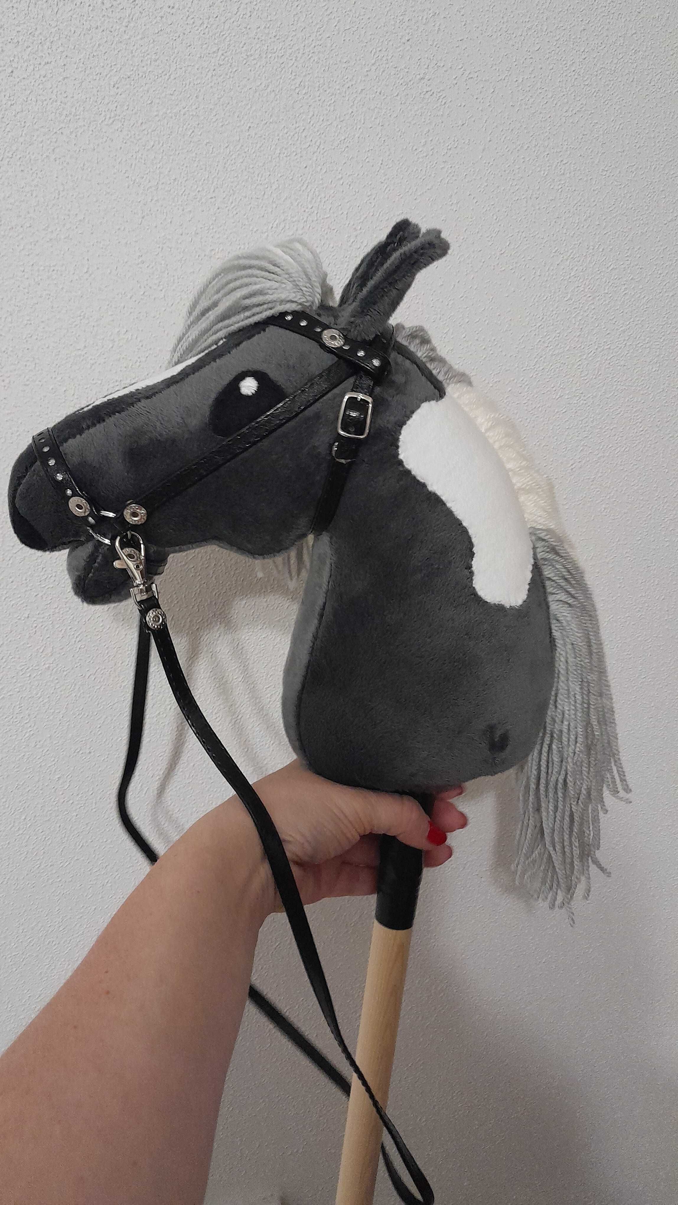 Hobby horse konik