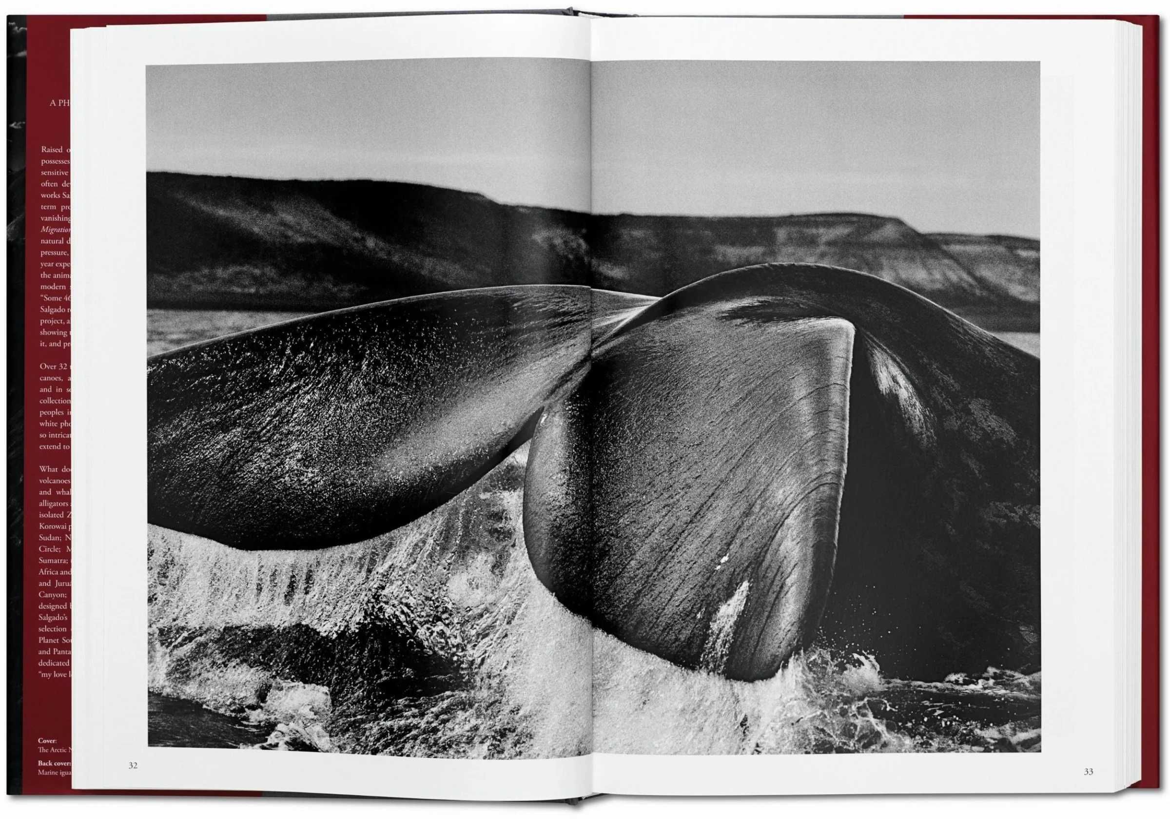 " GENESIS " de Sebastião Salgado -> Tamanho XXL