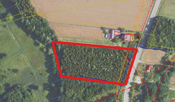 Działka rolna - Zalesiona 70 ar