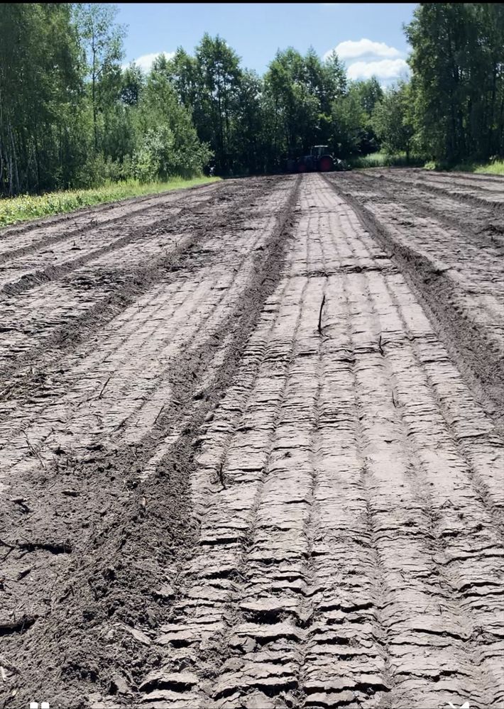 Dzialka Pasek 1000m2
